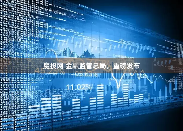 魔投网 金融监管总局，重磅发布