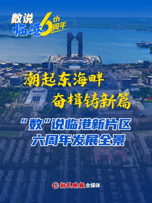 双盈策略 海报 | “数”说临港新片区六周年
