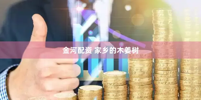 金河配资 家乡的木姜树