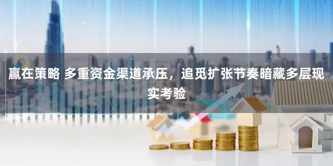 赢在策略 多重资金渠道承压，追觅扩张节奏暗藏多层现实考验